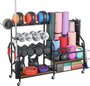 https://www.oldhouseonline.com/oho-html/review/wp-content/uploads/2023/08/mythinglogic-weight-rack-storage-ohj-300x285.jpg