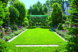 An Urban Garden in Massachusetts